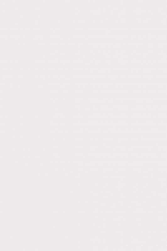 CES. ENGINEERING & MAINTENANCE SERVICES CO., LTD.